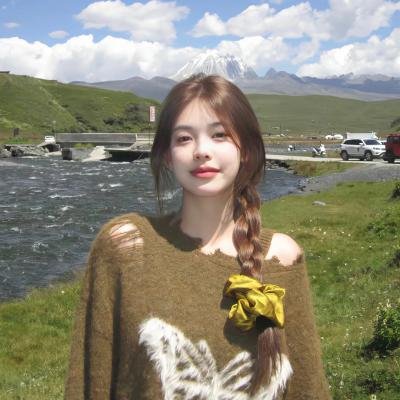 无敌破坏王2:大闹互联网
